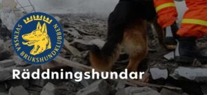 Informationskväll räddningshund